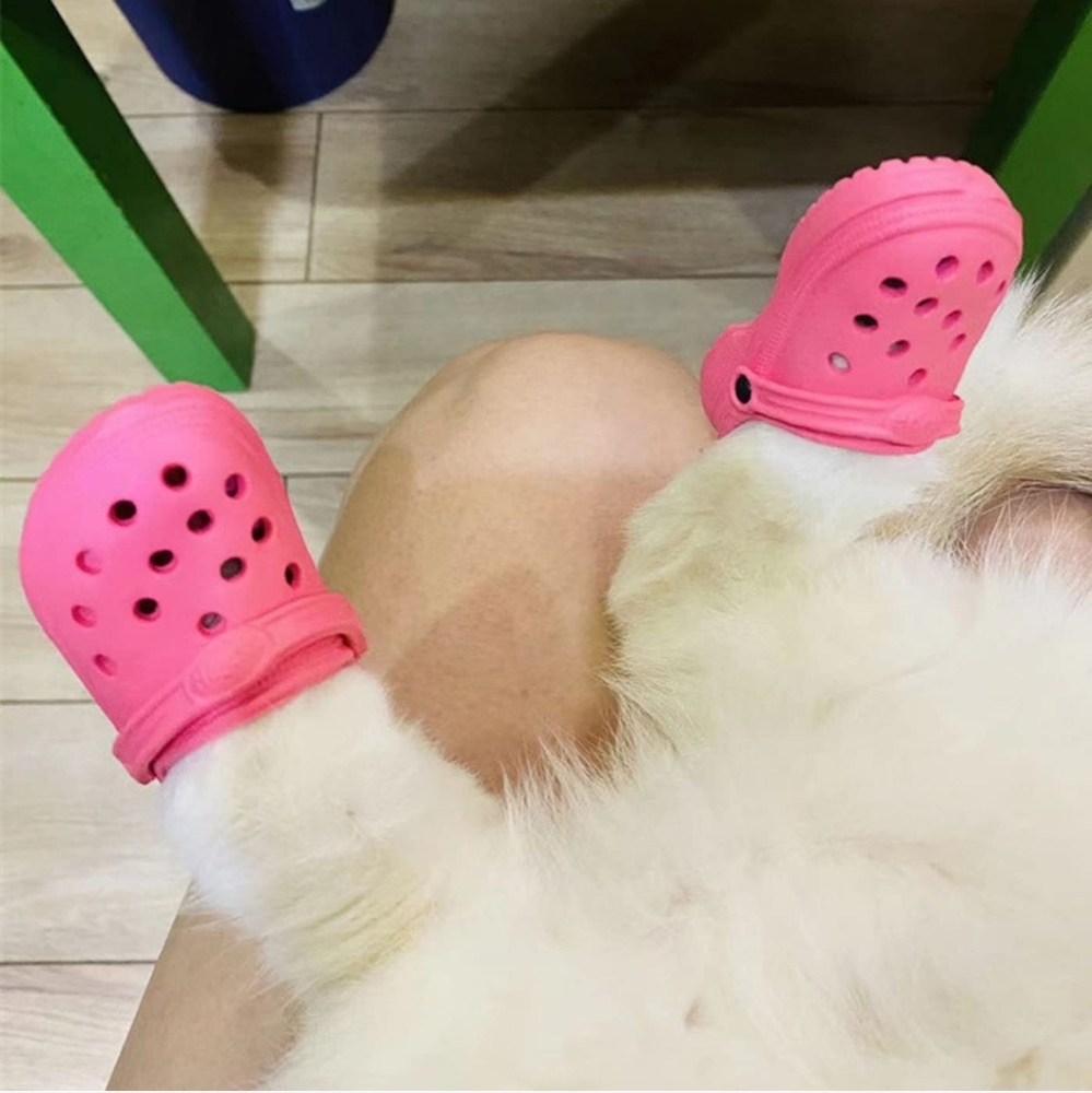 Miniature Crocs (Cat Crocs) - Picture 3 of 6